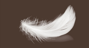 an image